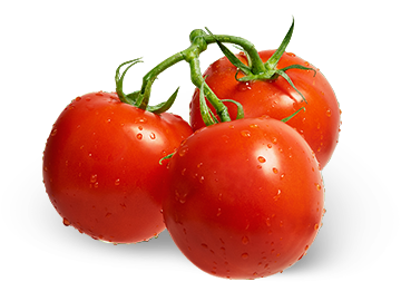 tomato